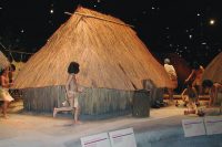 Cahokia Mounds State Historic Site Interpretive Center Exhibit Colinsville