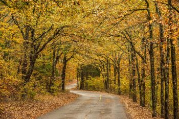 Fall drive in Petit Jean State Park