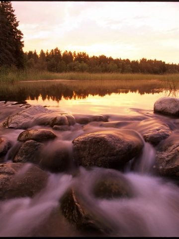 Lake Itasca and Headwaters of the Mississippi River in Itasca State Park