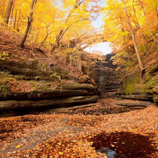 fall colors at matthiessen state park in ogelsby illinois